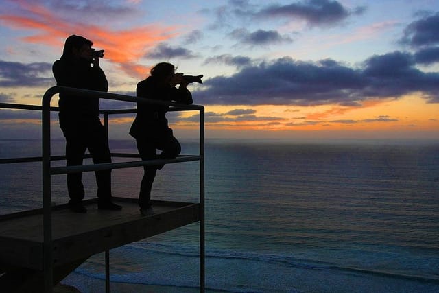 San Diego Photography Tours Participants in action !